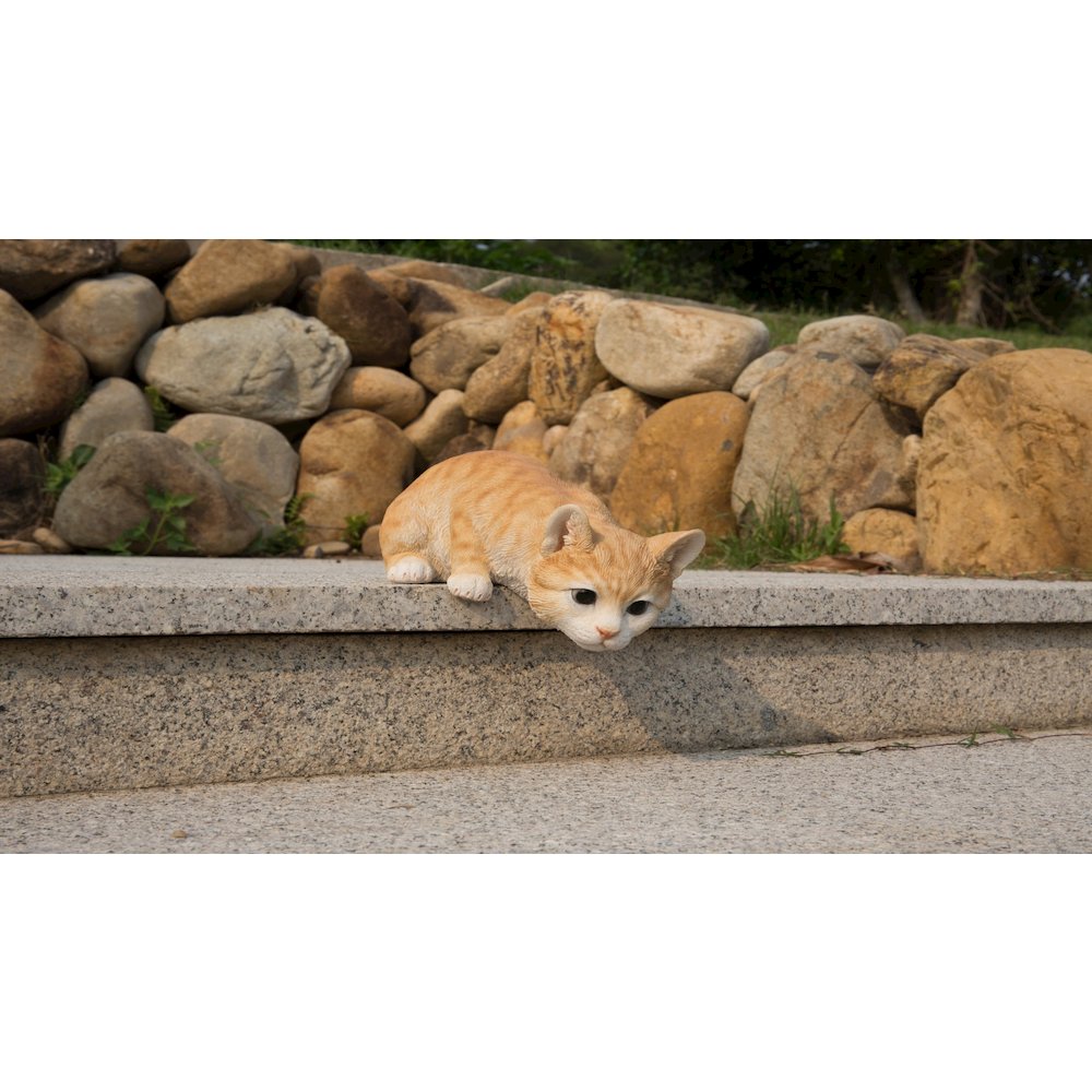 Cat Looking Over LEDge - Orange Tabby. Picture 6