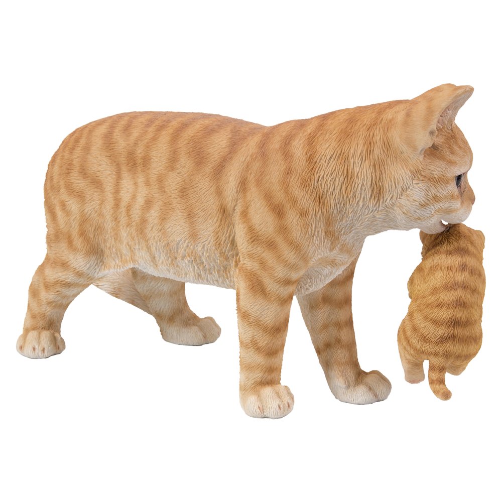Mother Cat Carrying Kitten - Orange Tabby. Picture 1