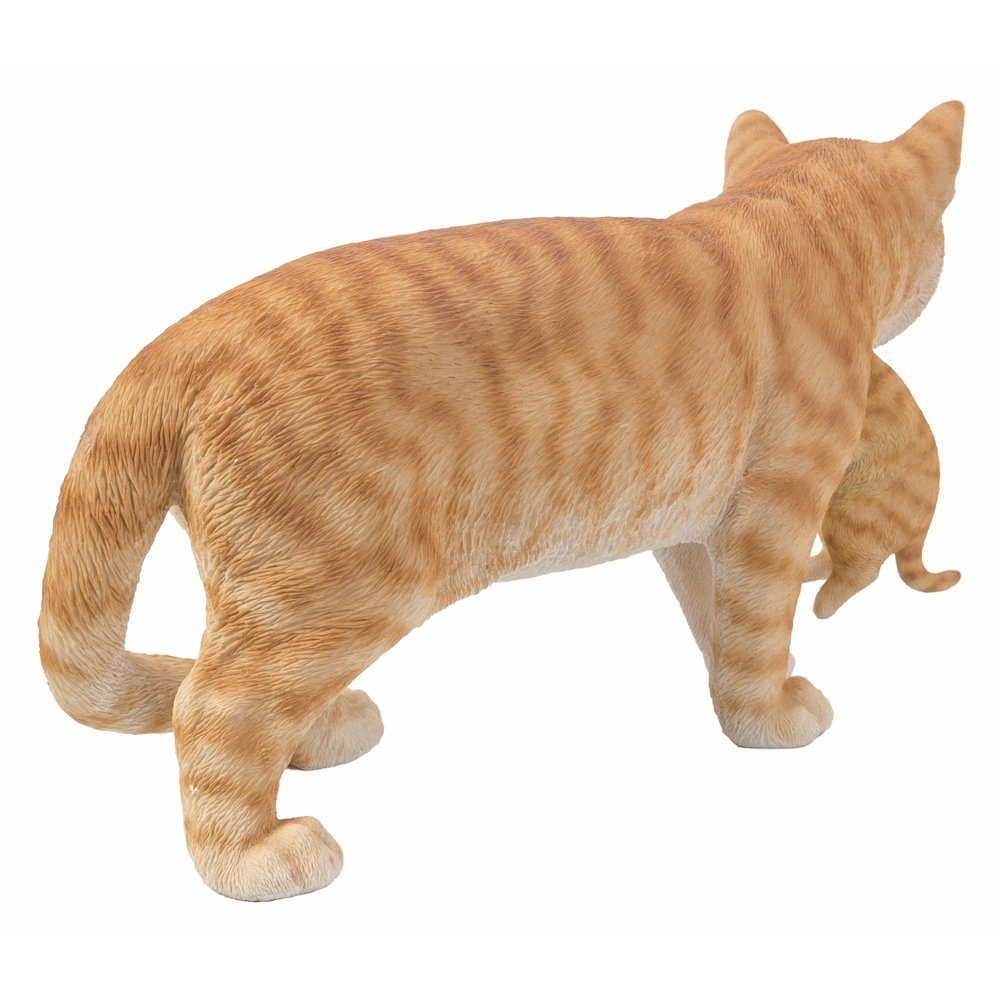 Mother Cat Carrying Kitten - Orange Tabby. Picture 3