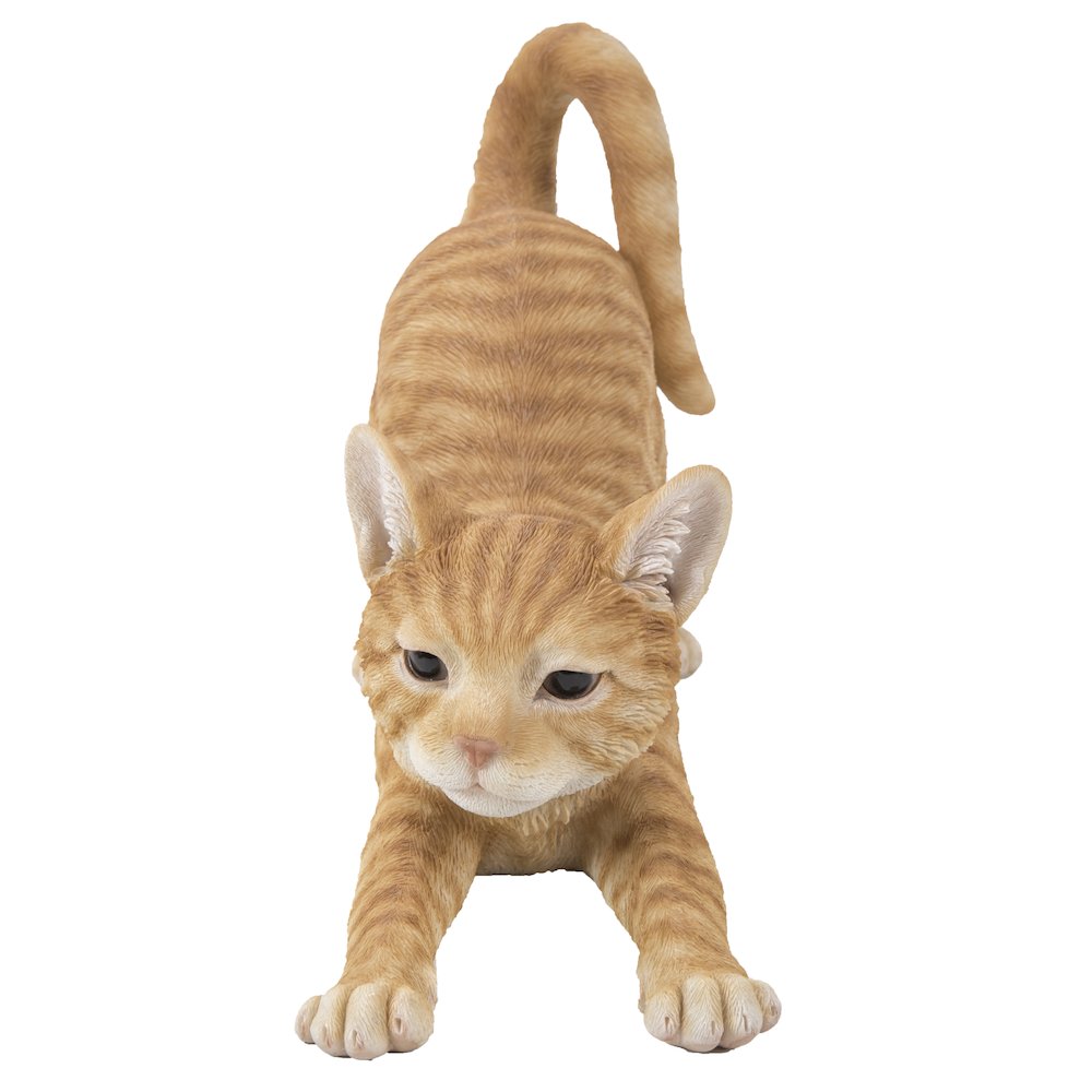 Orange Tabby Cat Stretching. Picture 5