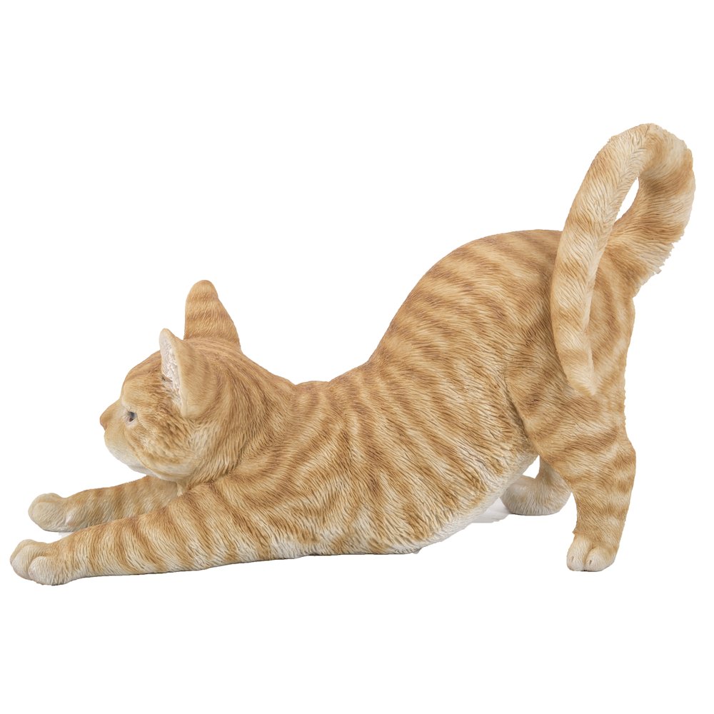 Orange Tabby Cat Stretching. Picture 4