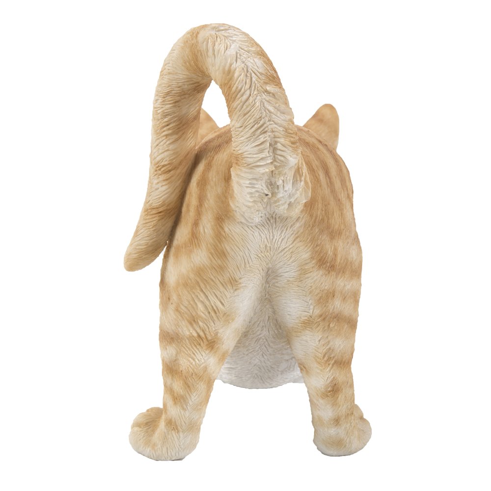Orange Tabby Cat Stretching. Picture 1