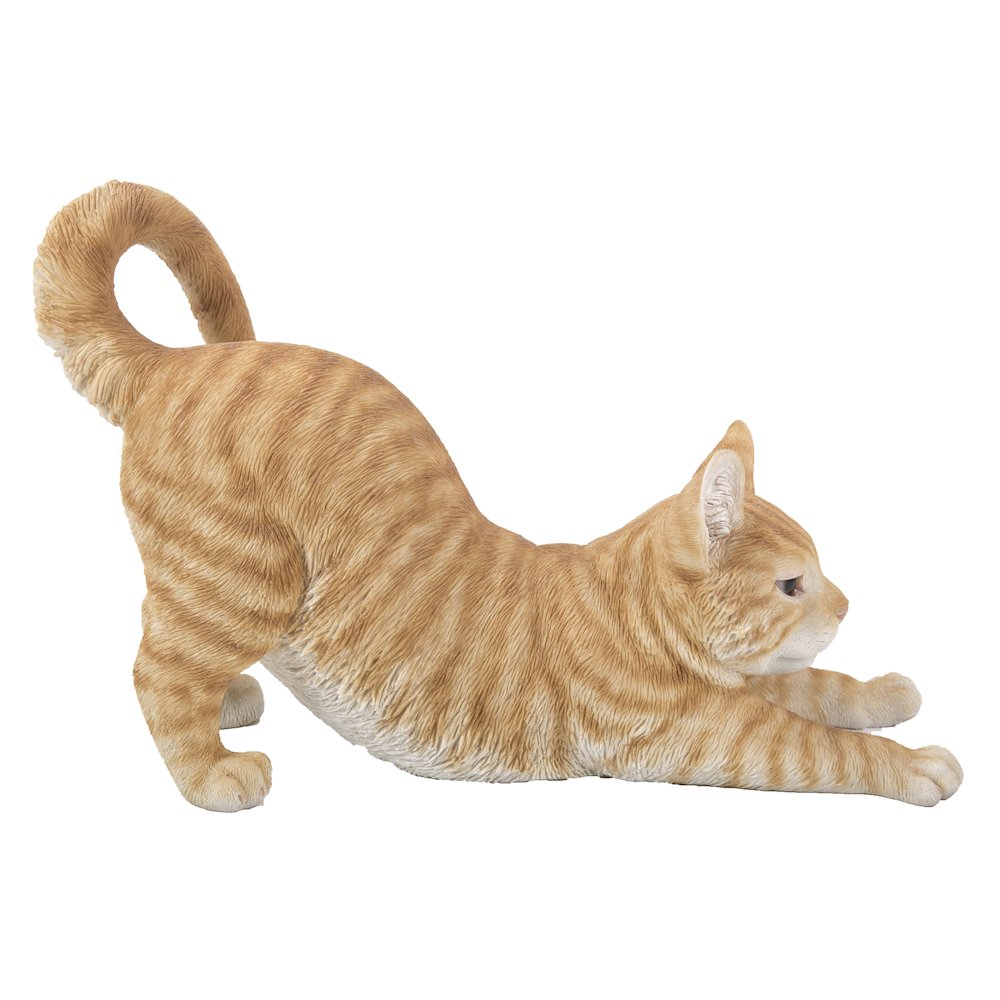 Orange Tabby Cat Stretching. Picture 2