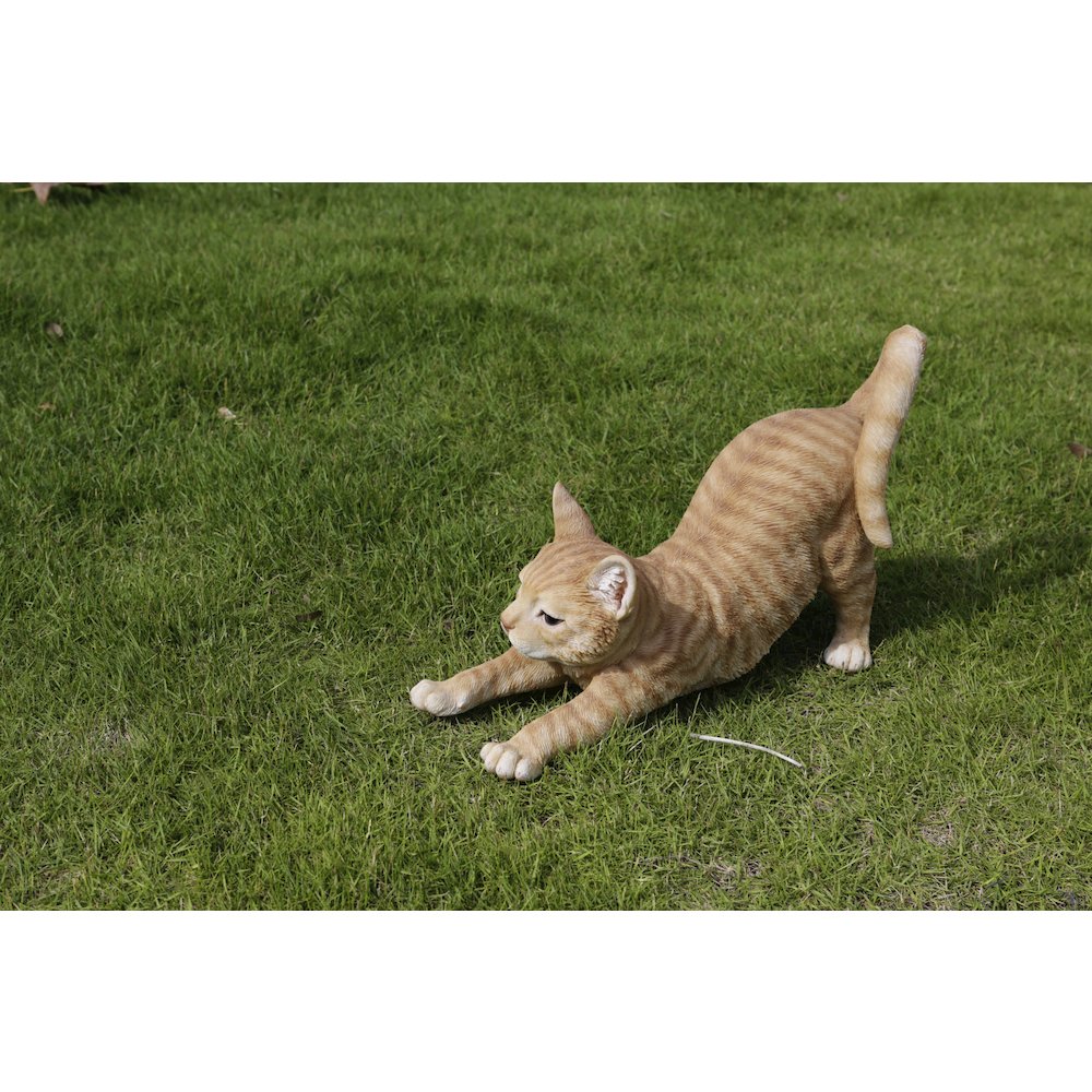 Orange Tabby Cat Stretching. Picture 7