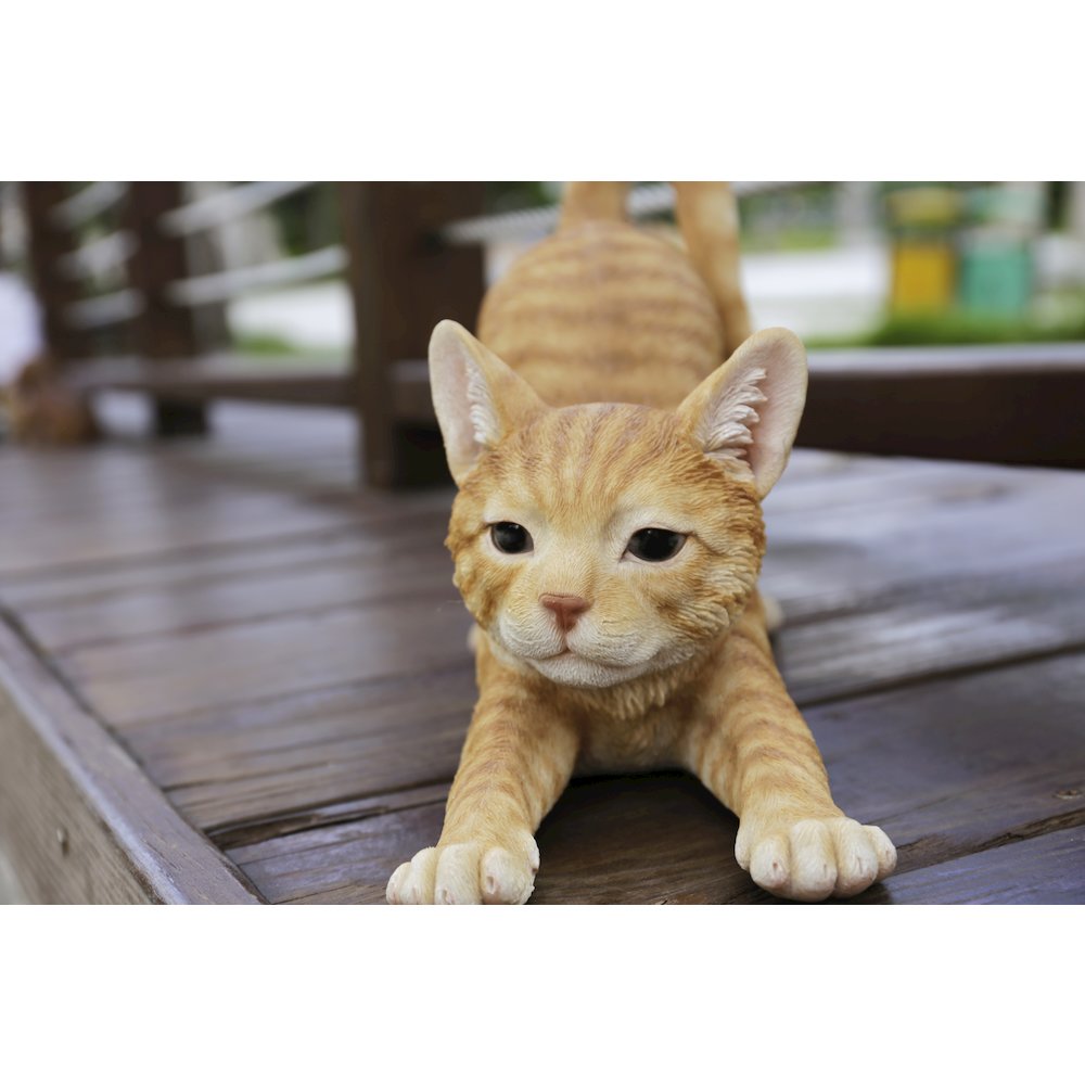 Orange Tabby Cat Stretching. Picture 3