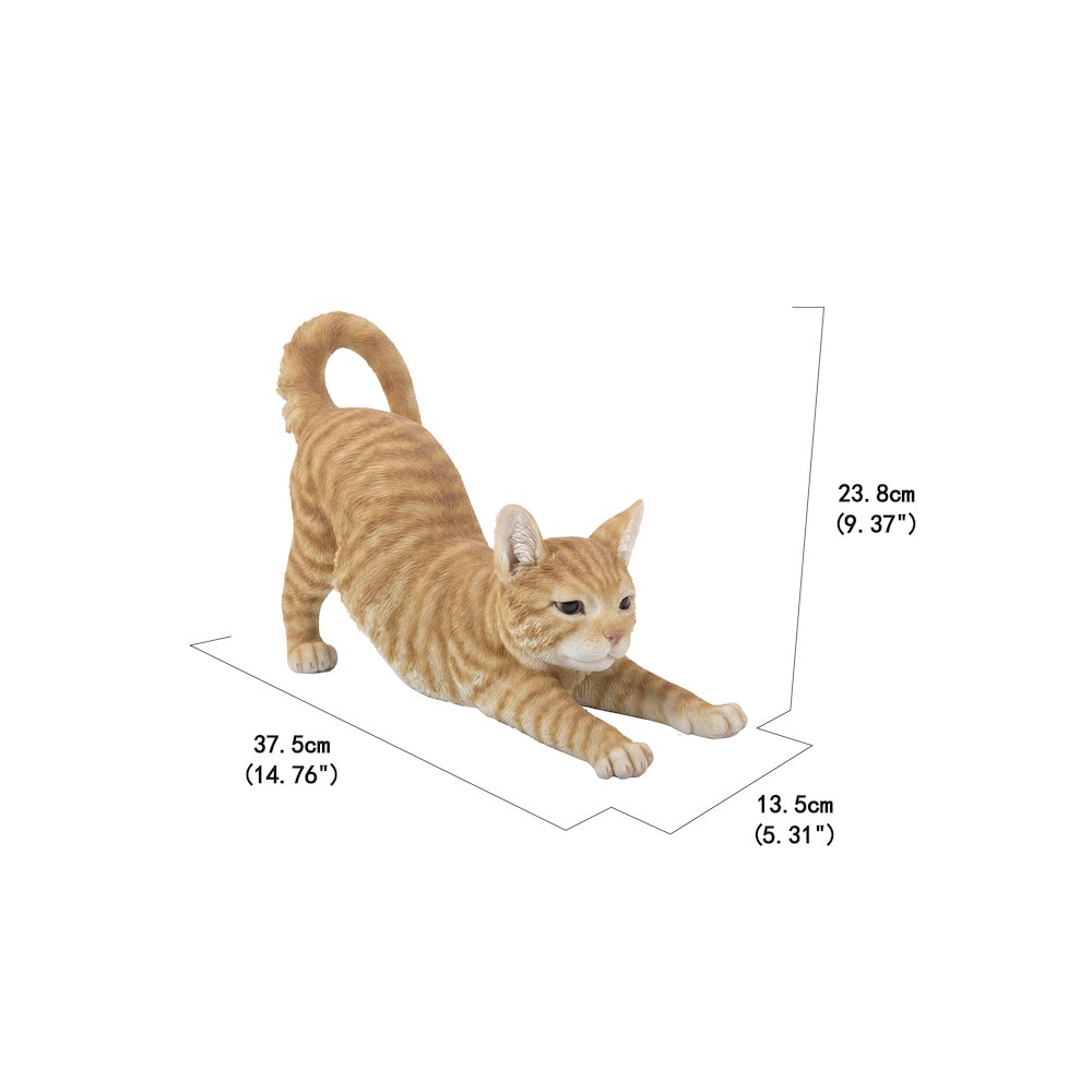 Orange Tabby Cat Stretching. Picture 6