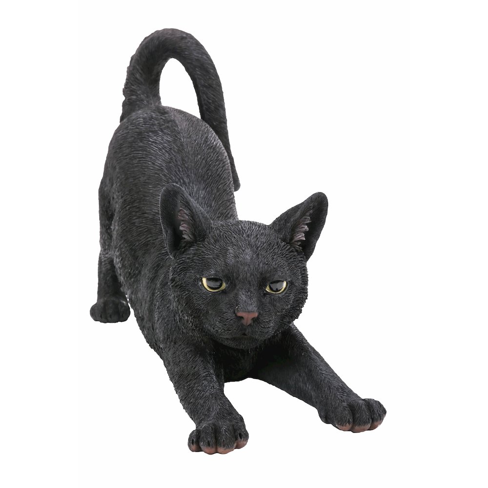 Black Cat Stretching. Picture 1