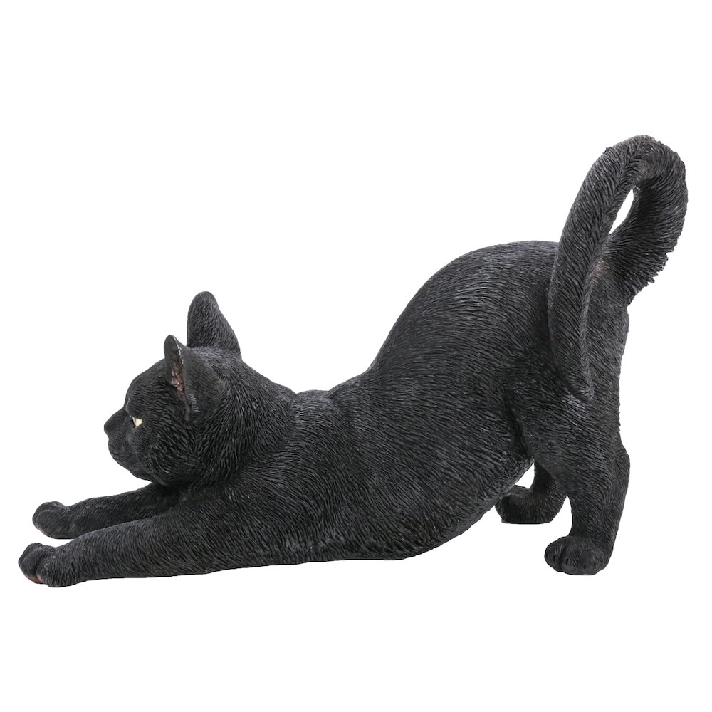 Black Cat Stretching. Picture 2