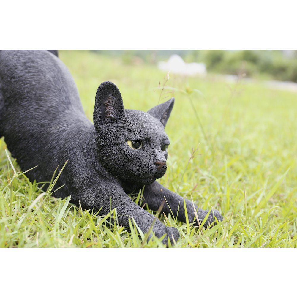 Black Cat Stretching. Picture 4