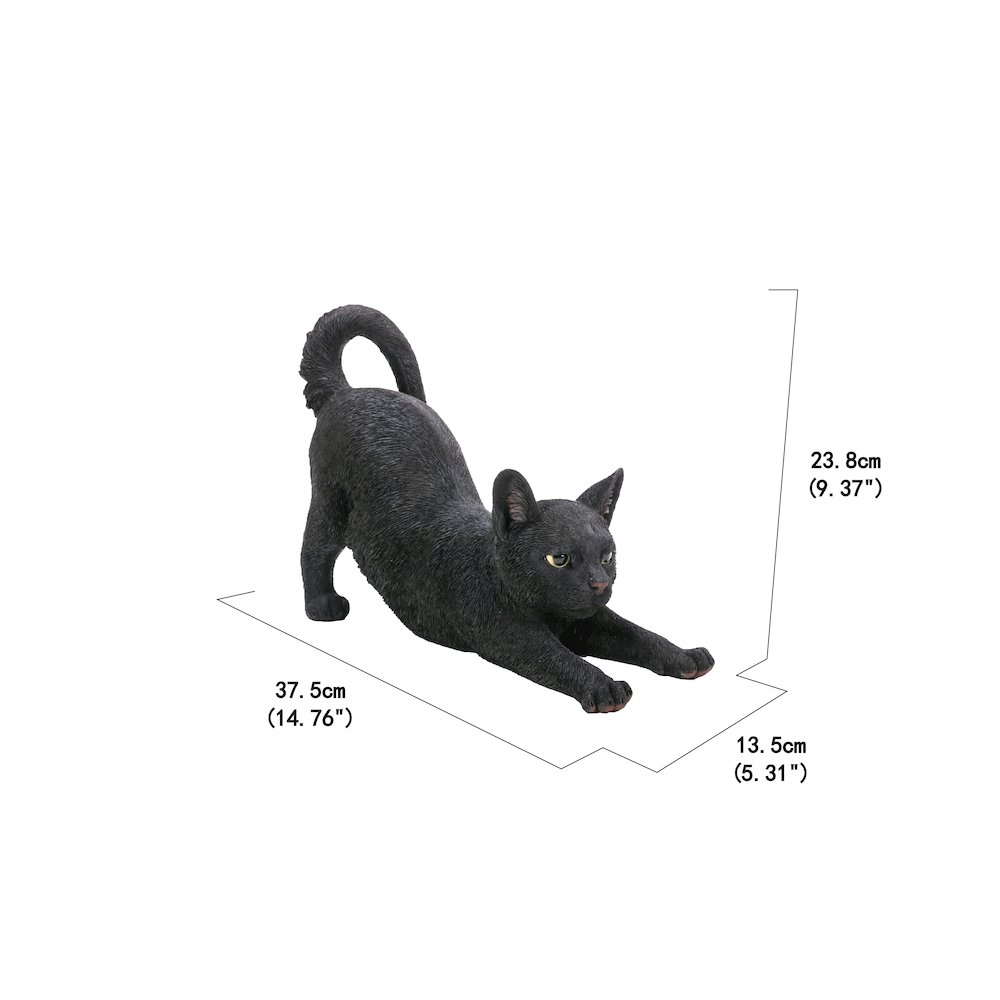 Black Cat Stretching. Picture 5