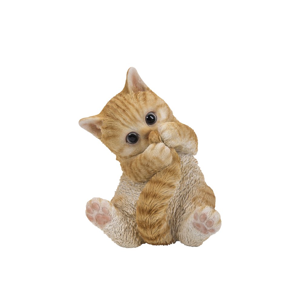 Orange Tabby Kitten Playing with Tail. Picture 2