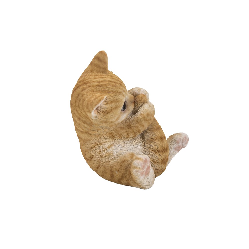 Orange Tabby Kitten Playing with Tail. Picture 1