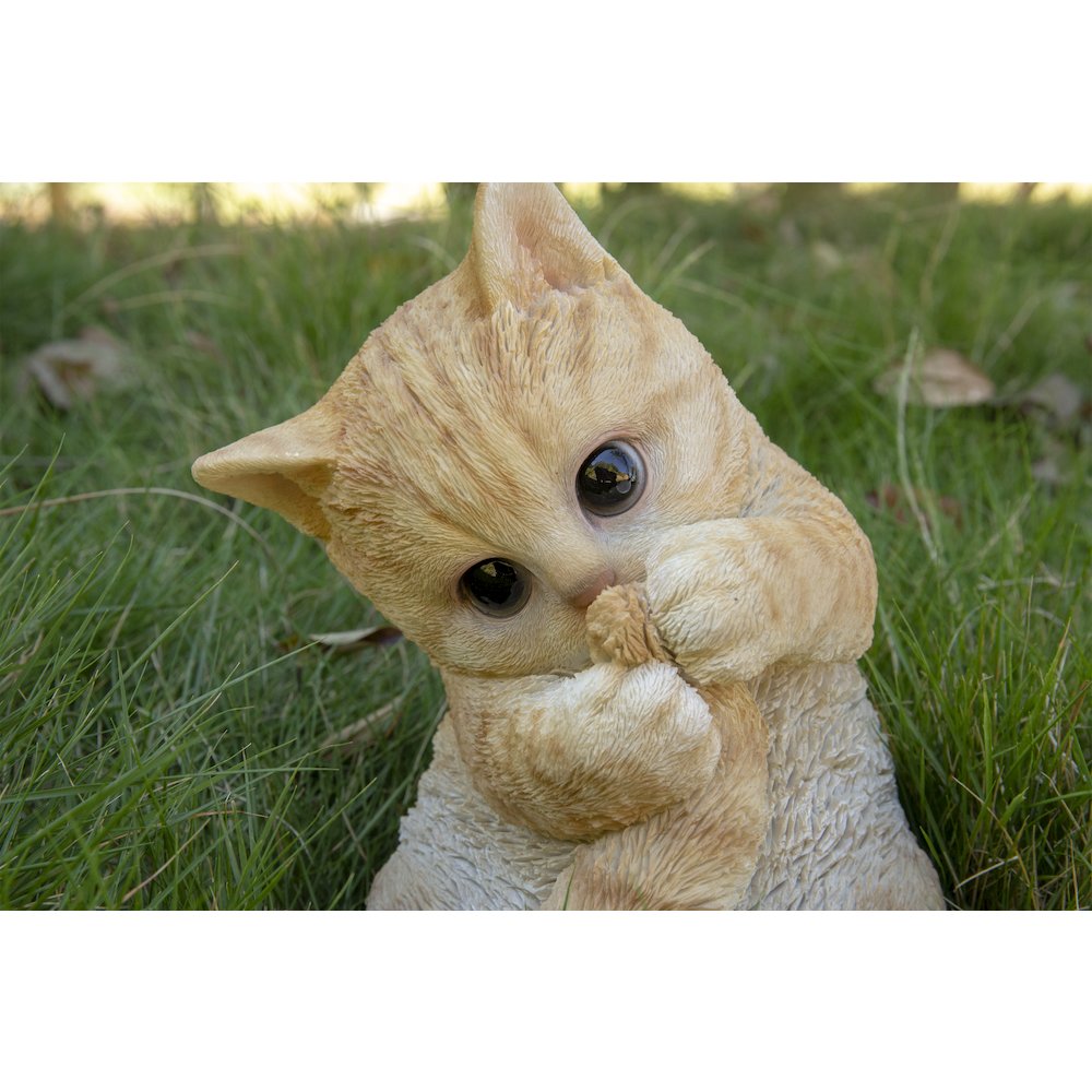 Orange Tabby Kitten Playing with Tail. Picture 6