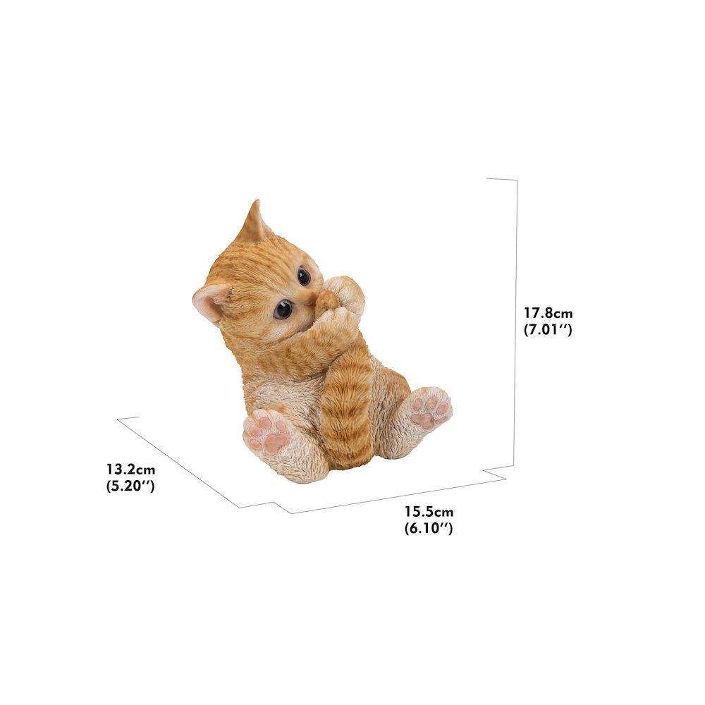 Orange Tabby Kitten Playing with Tail. Picture 5