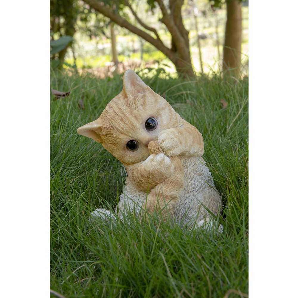 Orange Tabby Kitten Playing with Tail. Picture 7