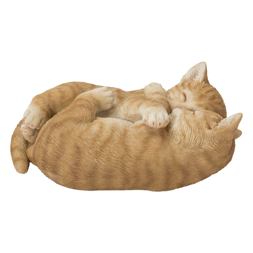 Sleeping Couple Cats - Orange. Picture 4