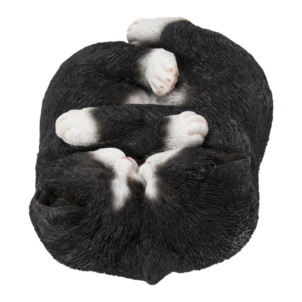 Sleeping Couple Cats - Black And White. Picture 4