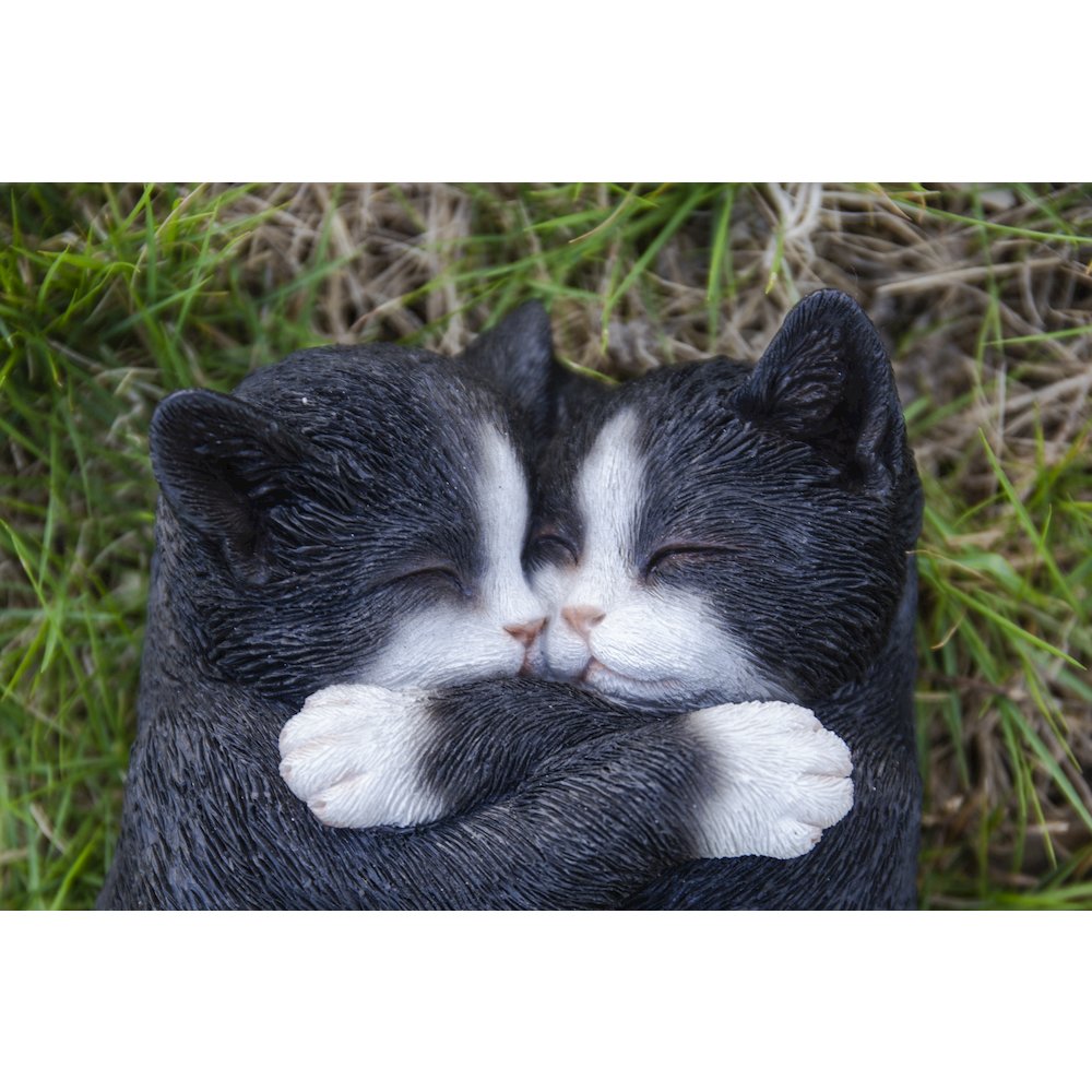 Sleeping Couple Cats - Black And White. Picture 6