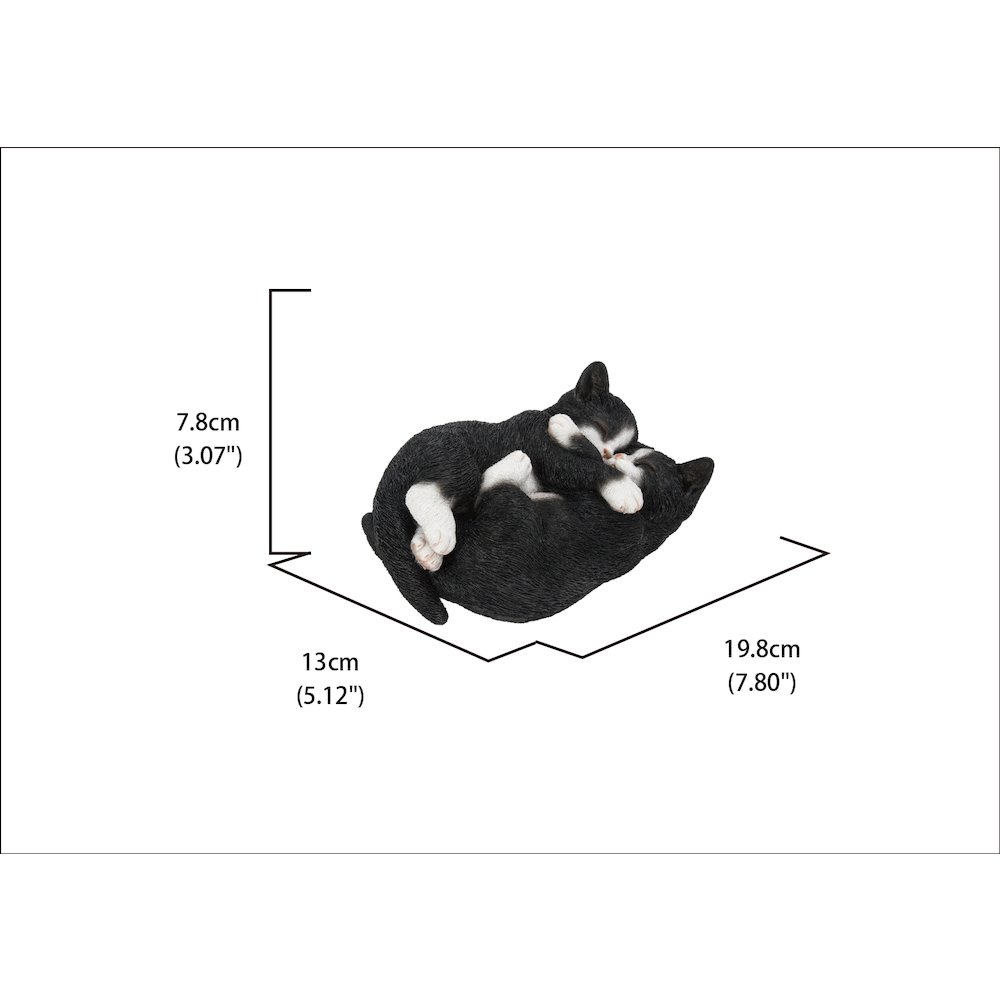 Sleeping Couple Cats - Black And White. Picture 5