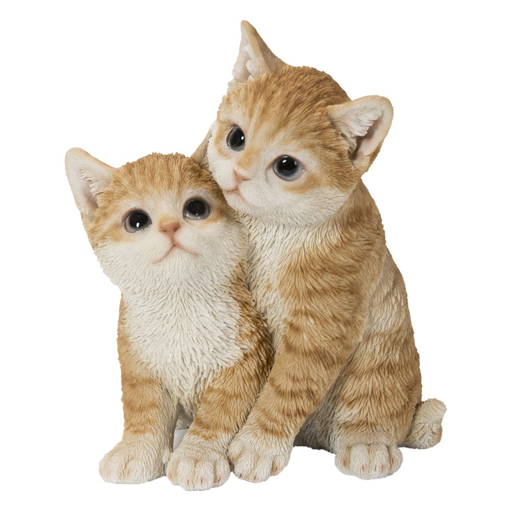 Kittens Hugging - Orange. Picture 2