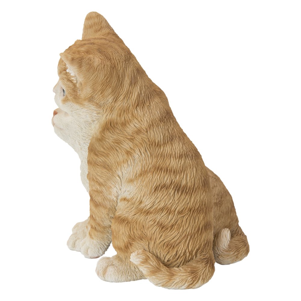 Kittens Hugging - Orange. Picture 4
