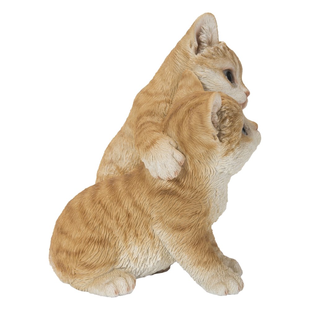 Kittens Hugging - Orange. Picture 3
