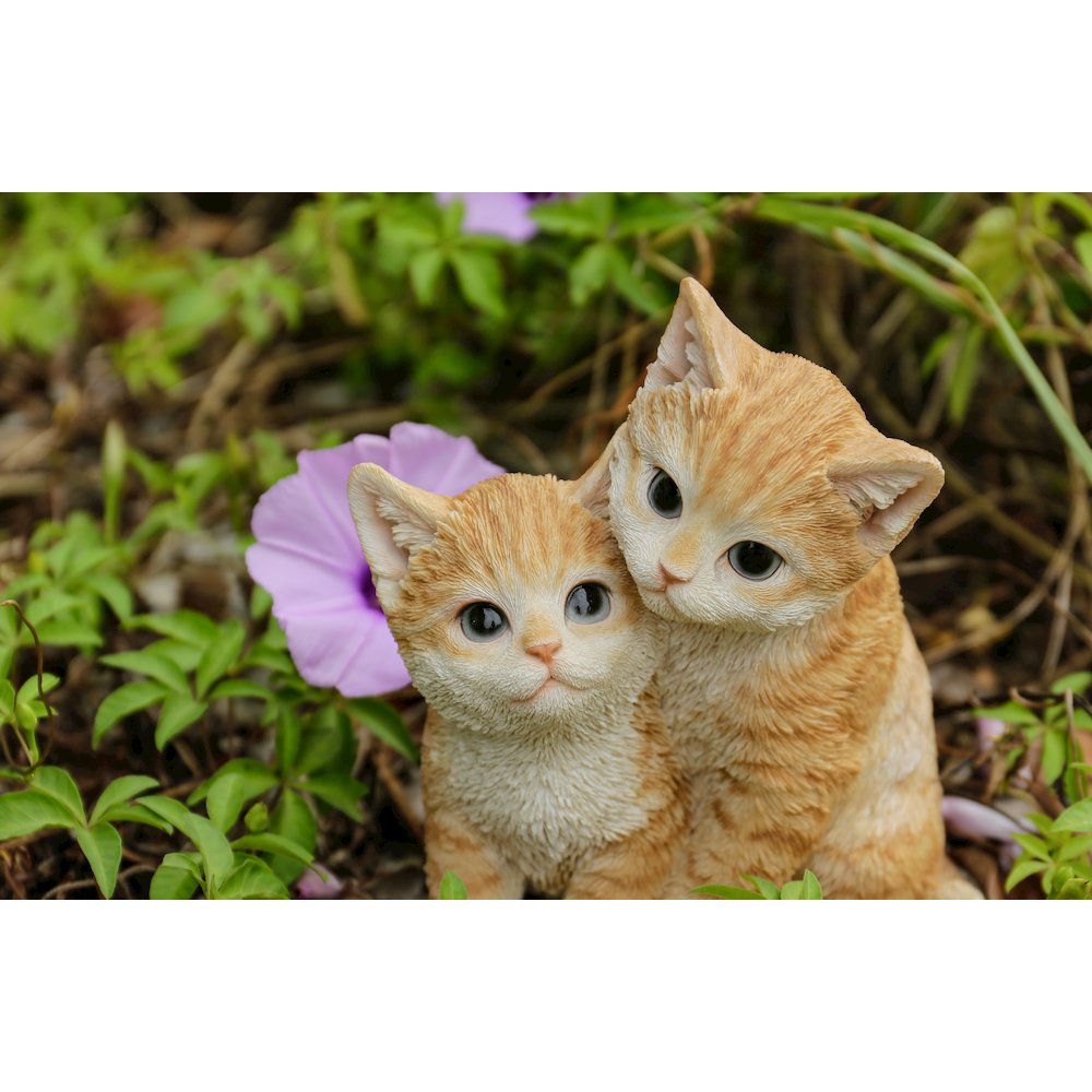 Kittens Hugging - Orange. Picture 6