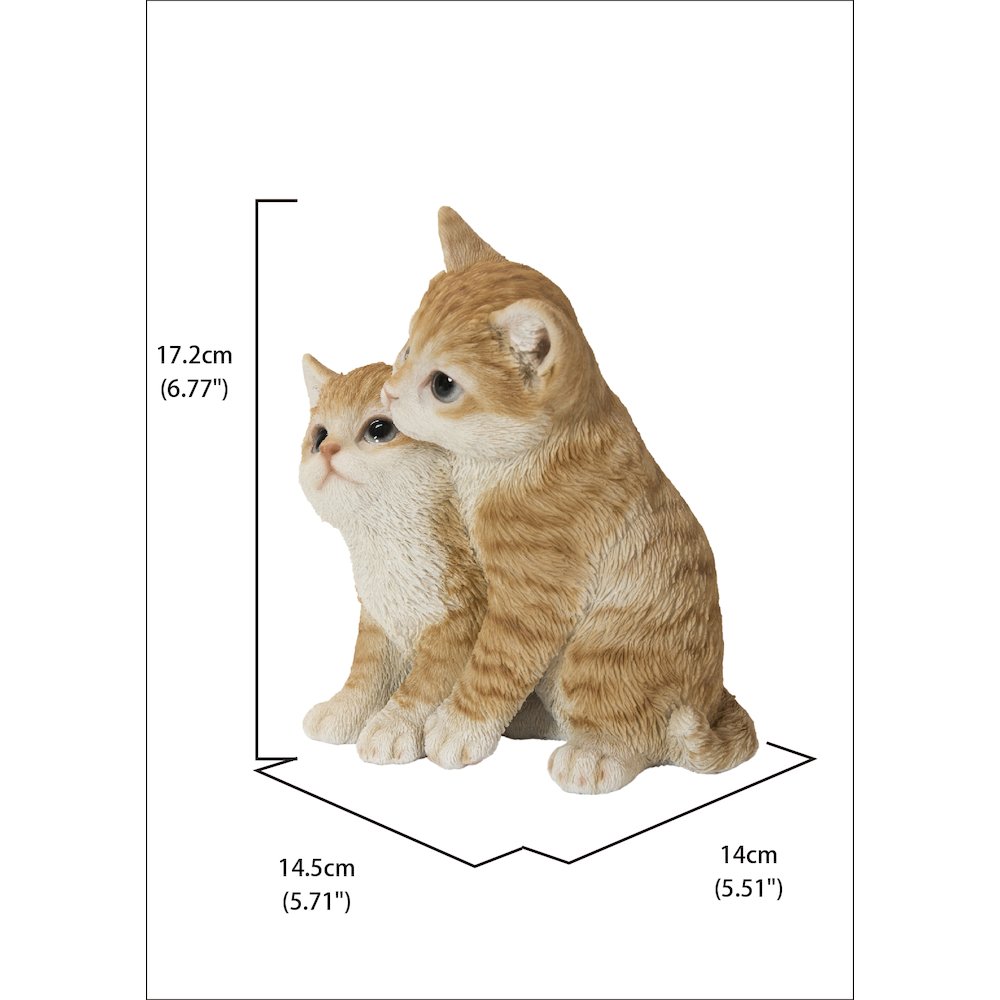 Kittens Hugging - Orange. Picture 5