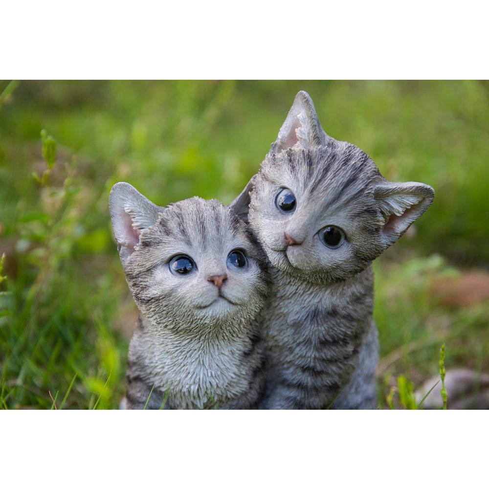 Kittens Hugging - Grey. Picture 6