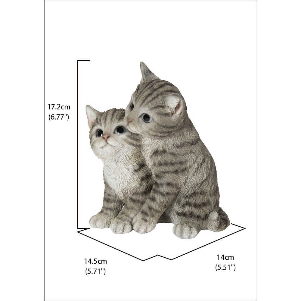 Kittens Hugging - Grey. Picture 5