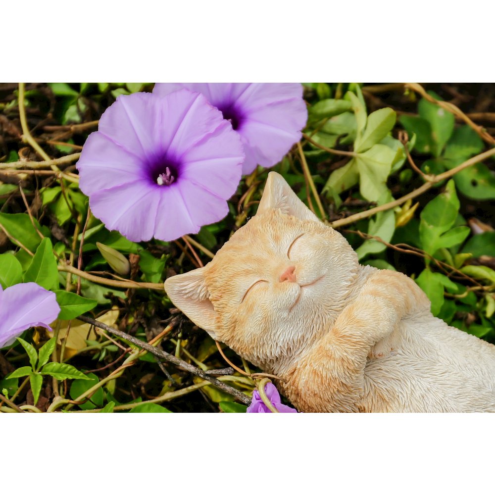 Sleeping Cat - Orange. Picture 6