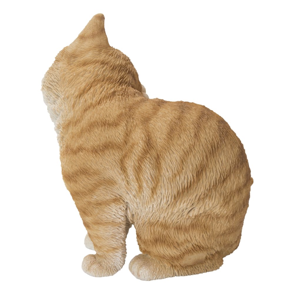 Yellow Cat Scratching Ear. Picture 3