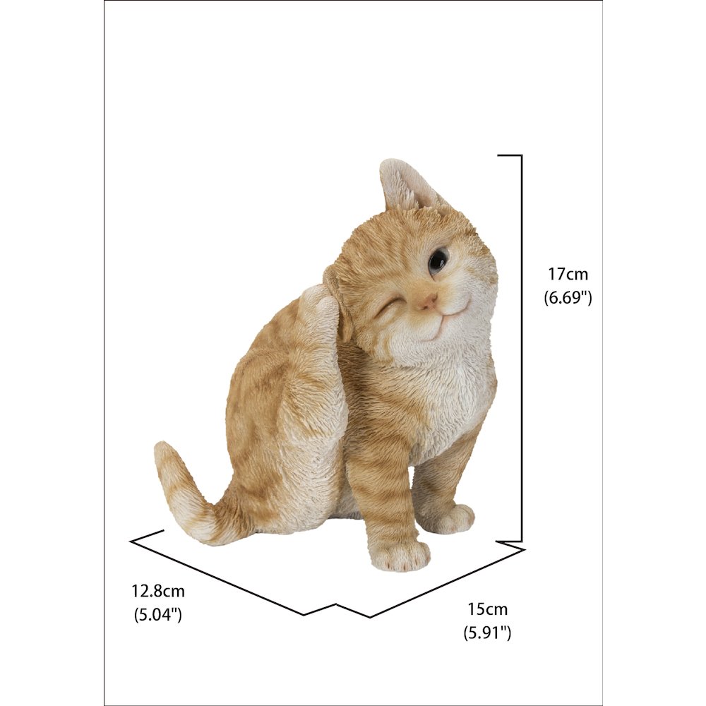 Yellow Cat Scratching Ear. Picture 4