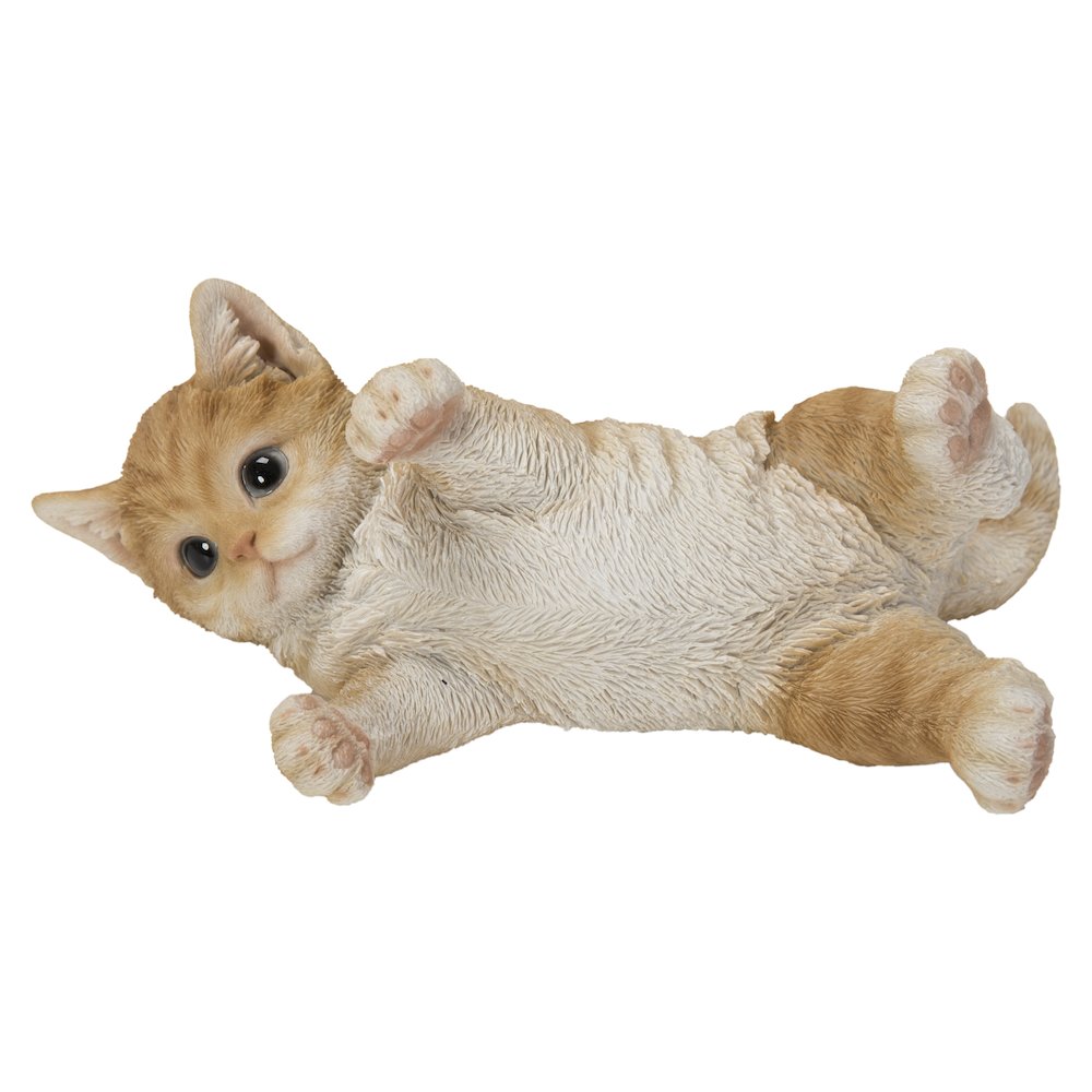 Lying Cat. Picture 2