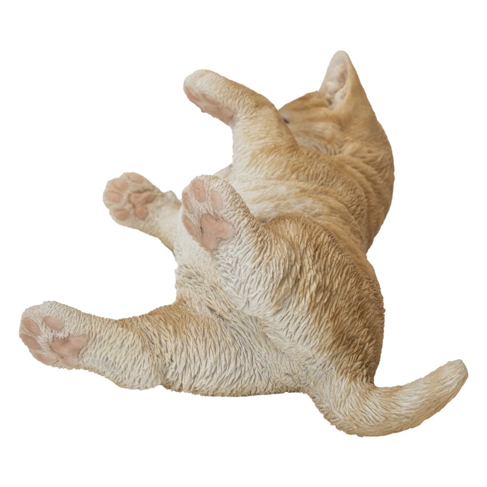 Lying Cat. Picture 4