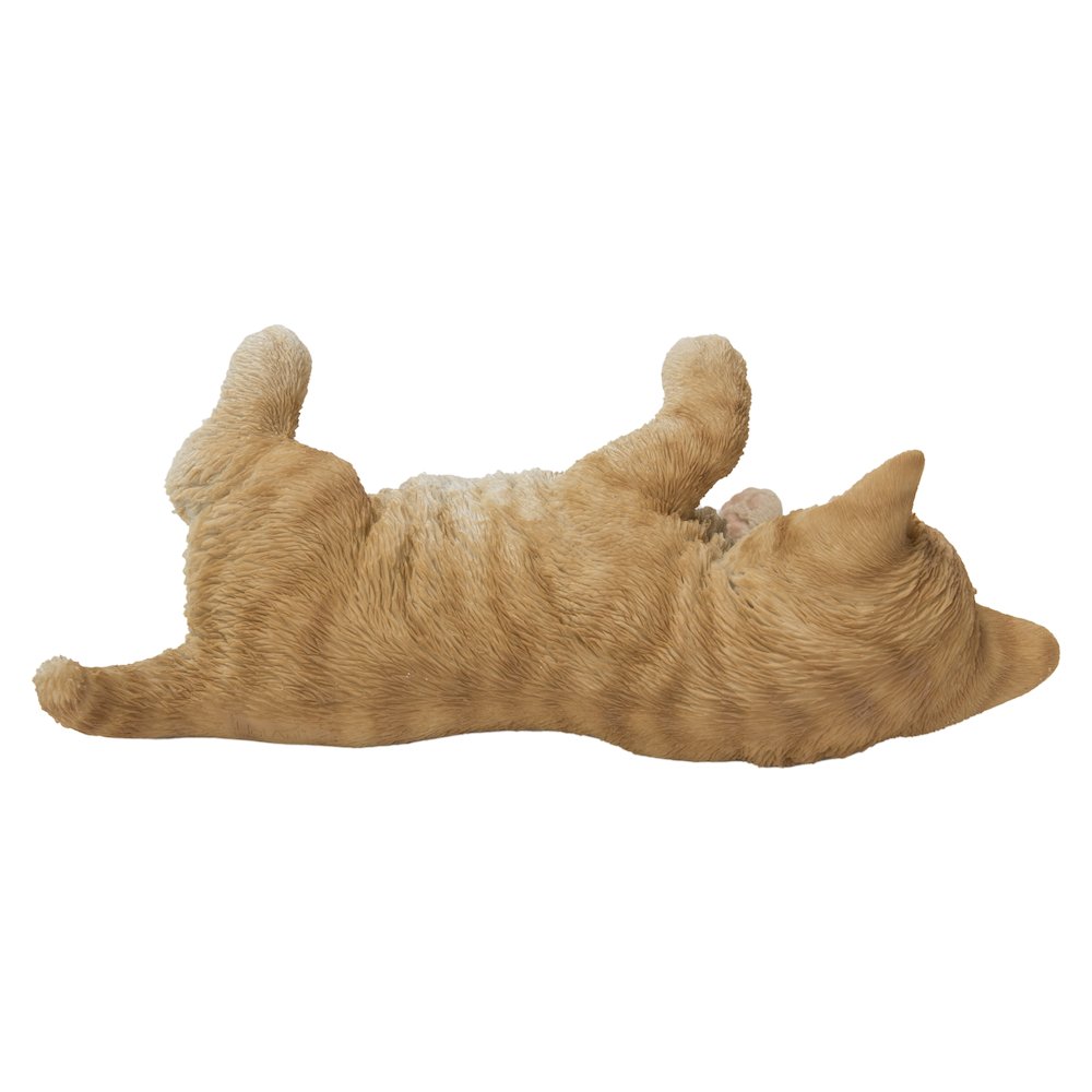 Lying Cat. Picture 3