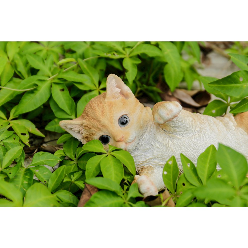 Lying Cat. Picture 6