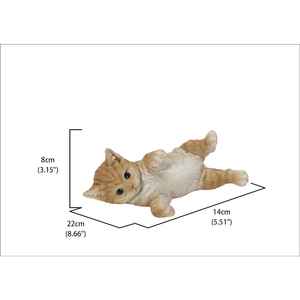 Lying Cat. Picture 5