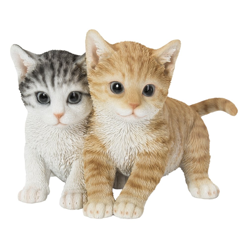 Kittens Sitting Together. Picture 2