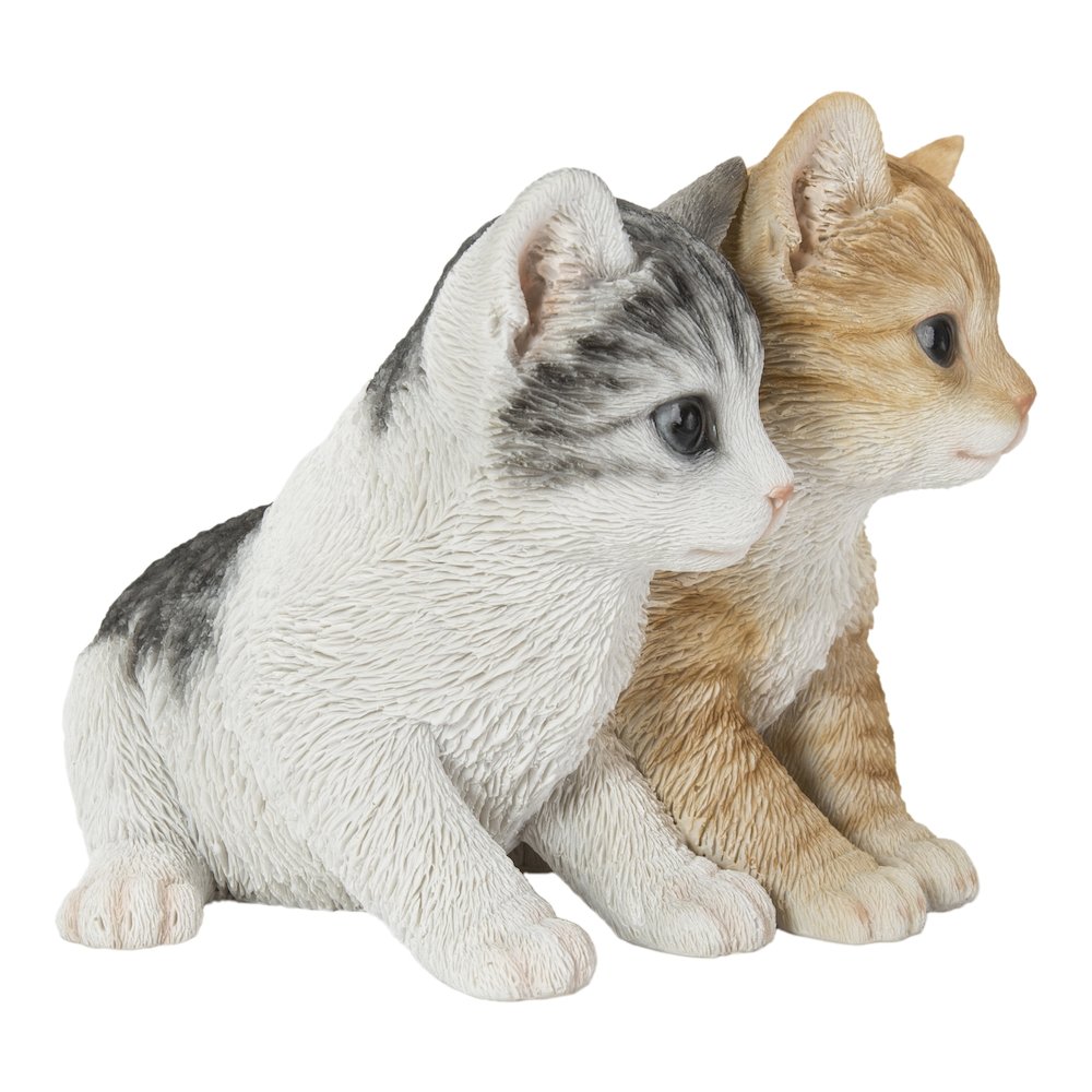 Kittens Sitting Together. Picture 3