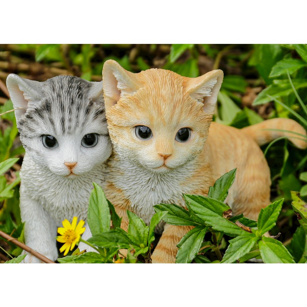 Kittens Sitting Together. Picture 6