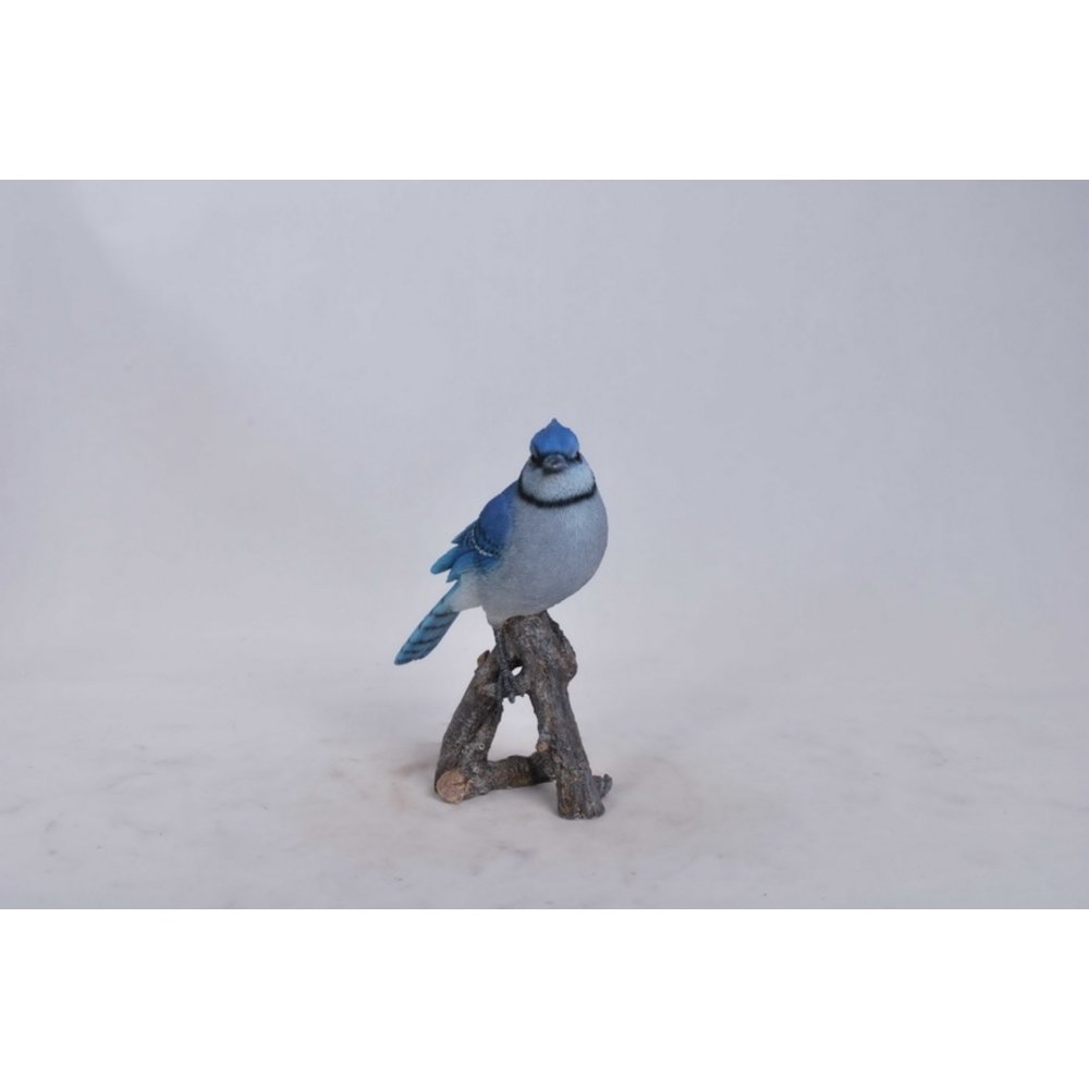 Blue Jay On Branch. Picture 4