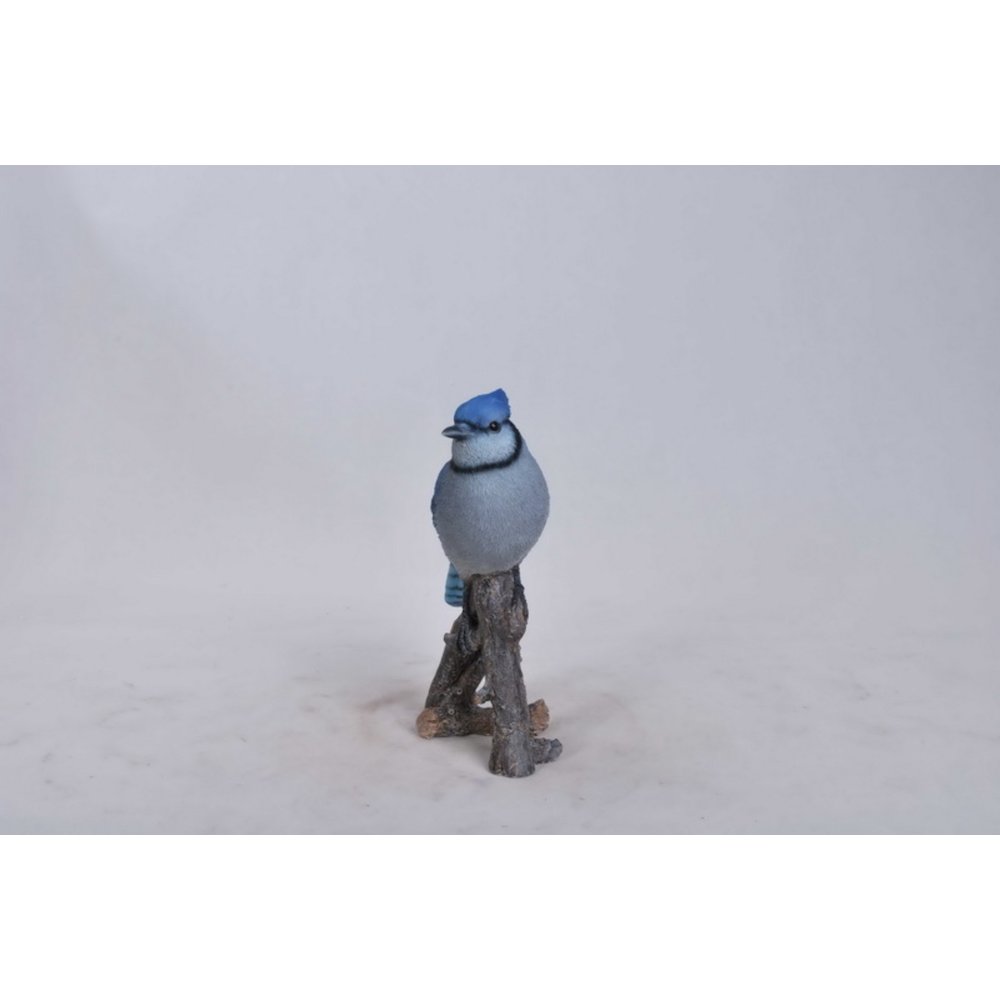 Blue Jay On Branch. Picture 2