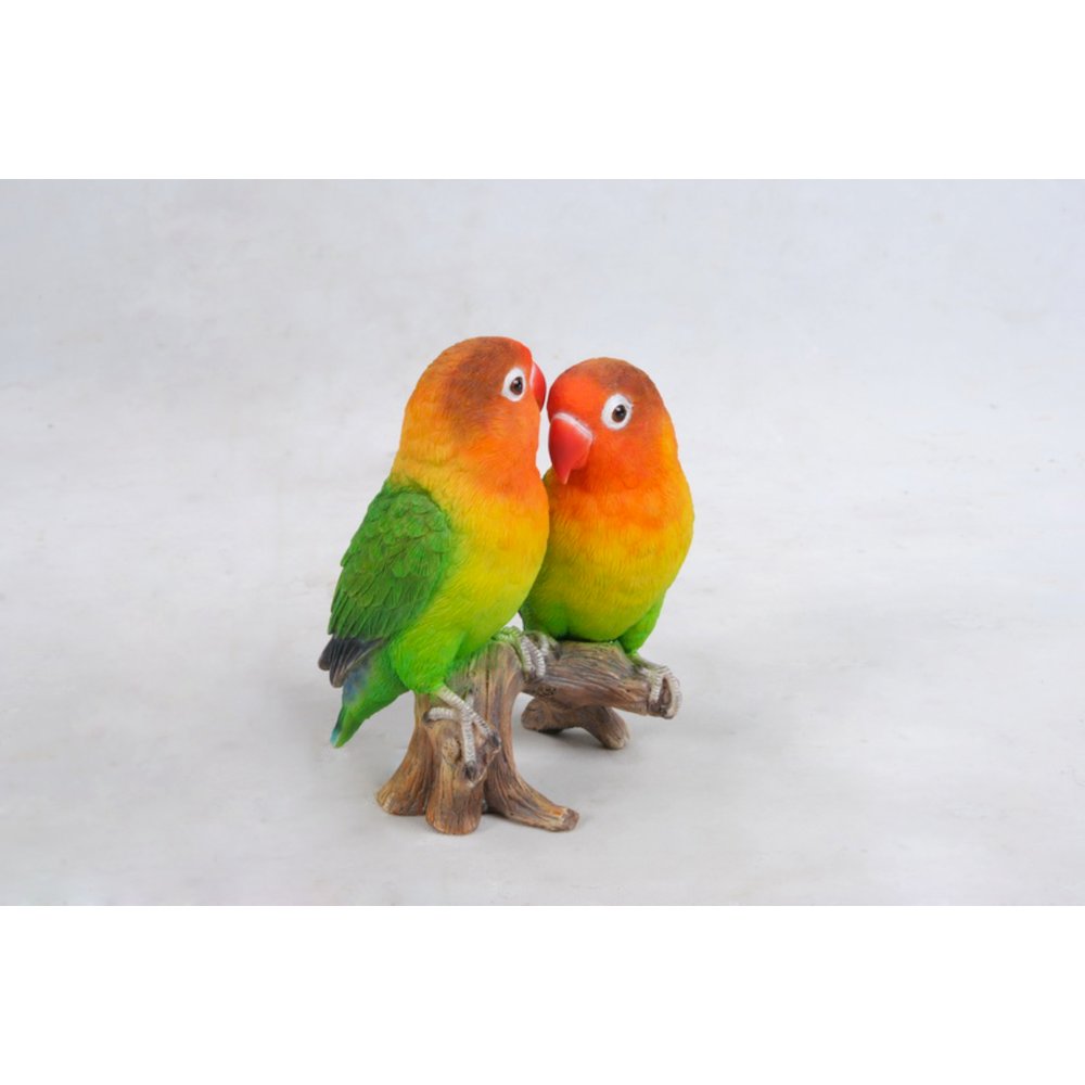 Lovebird Parrots On Branch. Picture 3