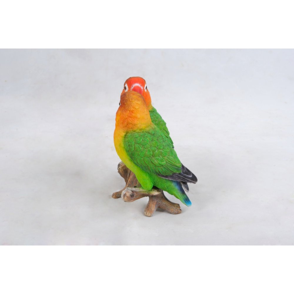 Lovebird Parrots On Branch. Picture 1