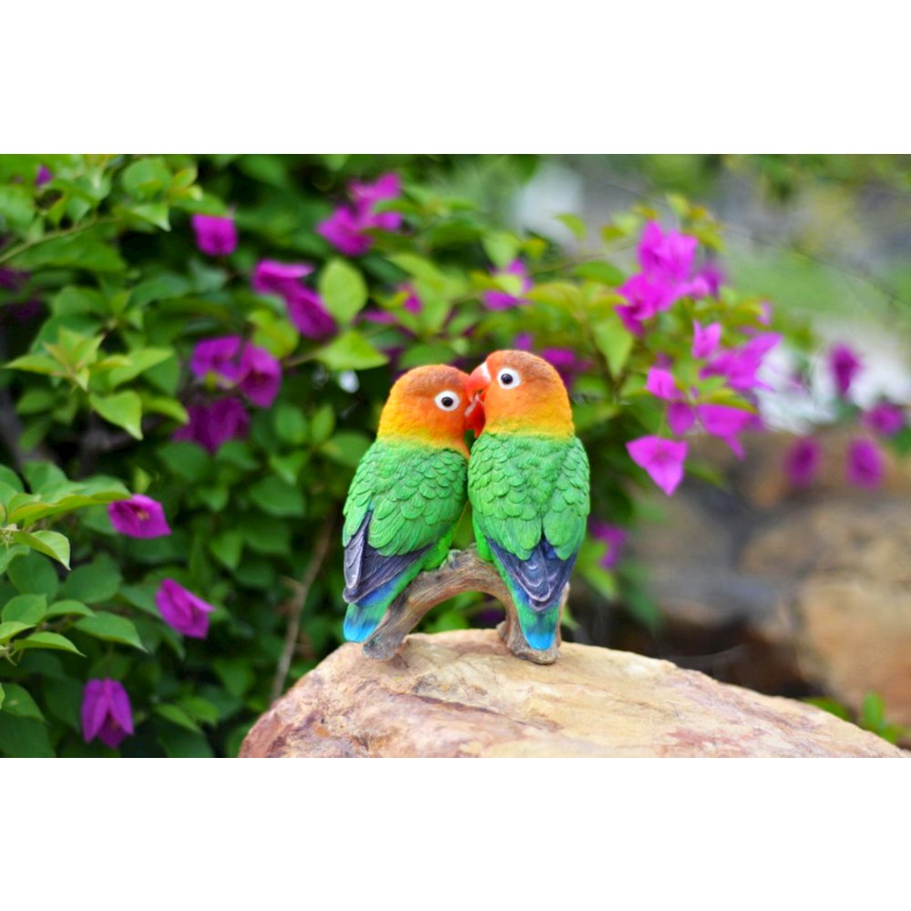 Lovebird Parrots On Branch. Picture 5