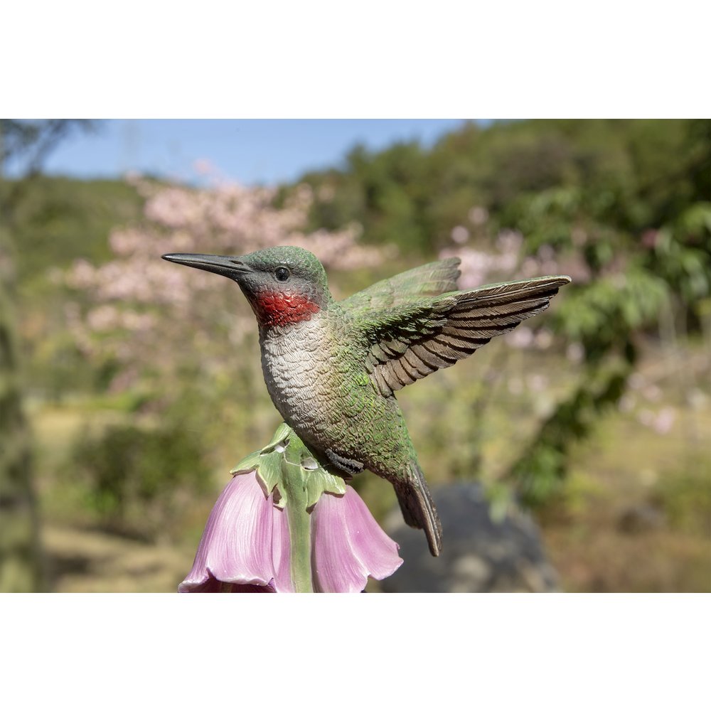 Hummingbird On Foxglove Statue. Picture 6