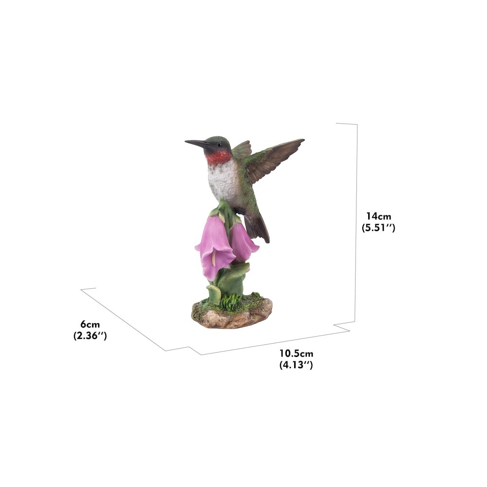 Hummingbird On Foxglove Statue. Picture 5