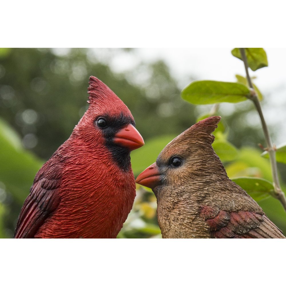 Cardinal Couple On Stump Garden Statue. Picture 4