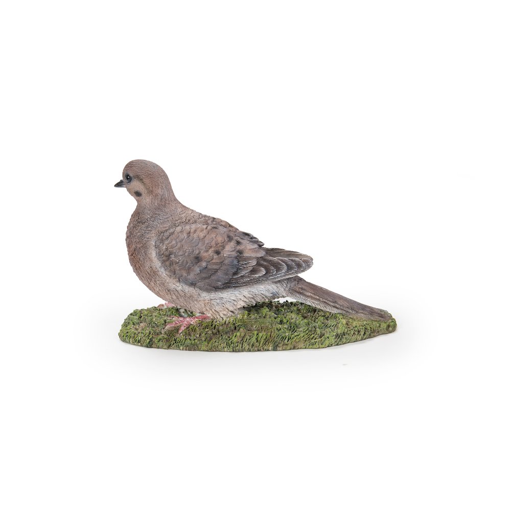 Mourning Dove On Grass Garden Statue. Picture 3